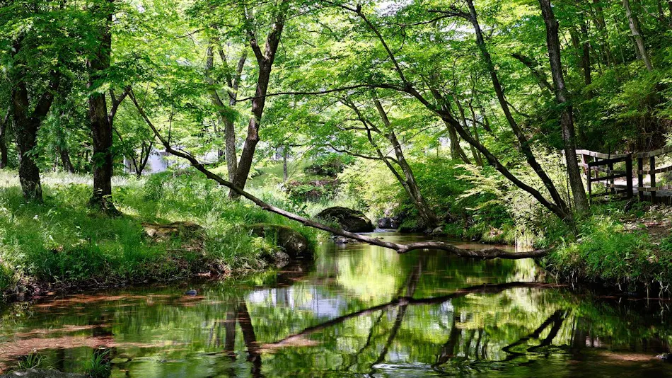 Hoshino Resorts RISONARE Nasu