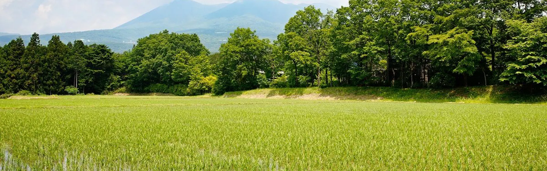リゾナーレ那須