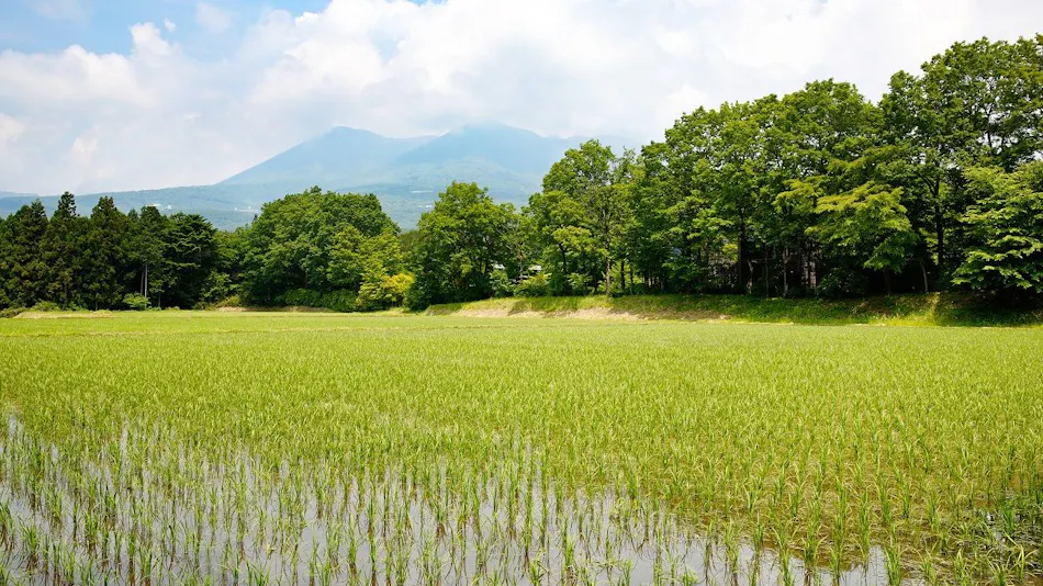 Hoshino Resorts RISONARE Nasu