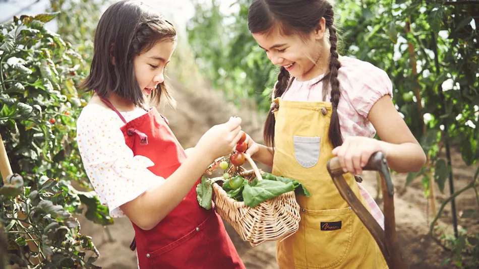星野集团 RISONARE 那須