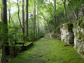 アマン 京都 一休