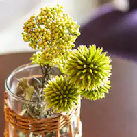 ภาพสิ่งอำนวยความสะดวก