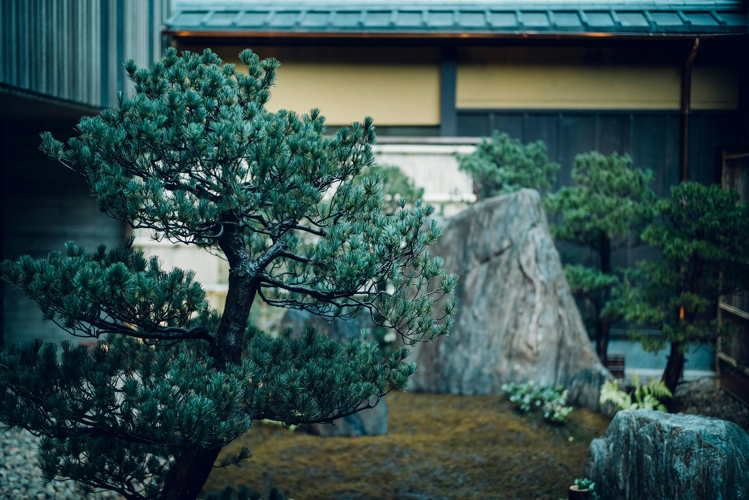THE HIRAMATSU 京都
