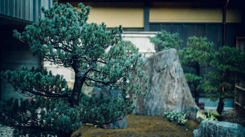 THE HIRAMATSU Kyoto