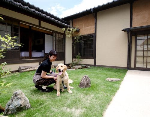 【MOTO 1101／VMGプレミア】