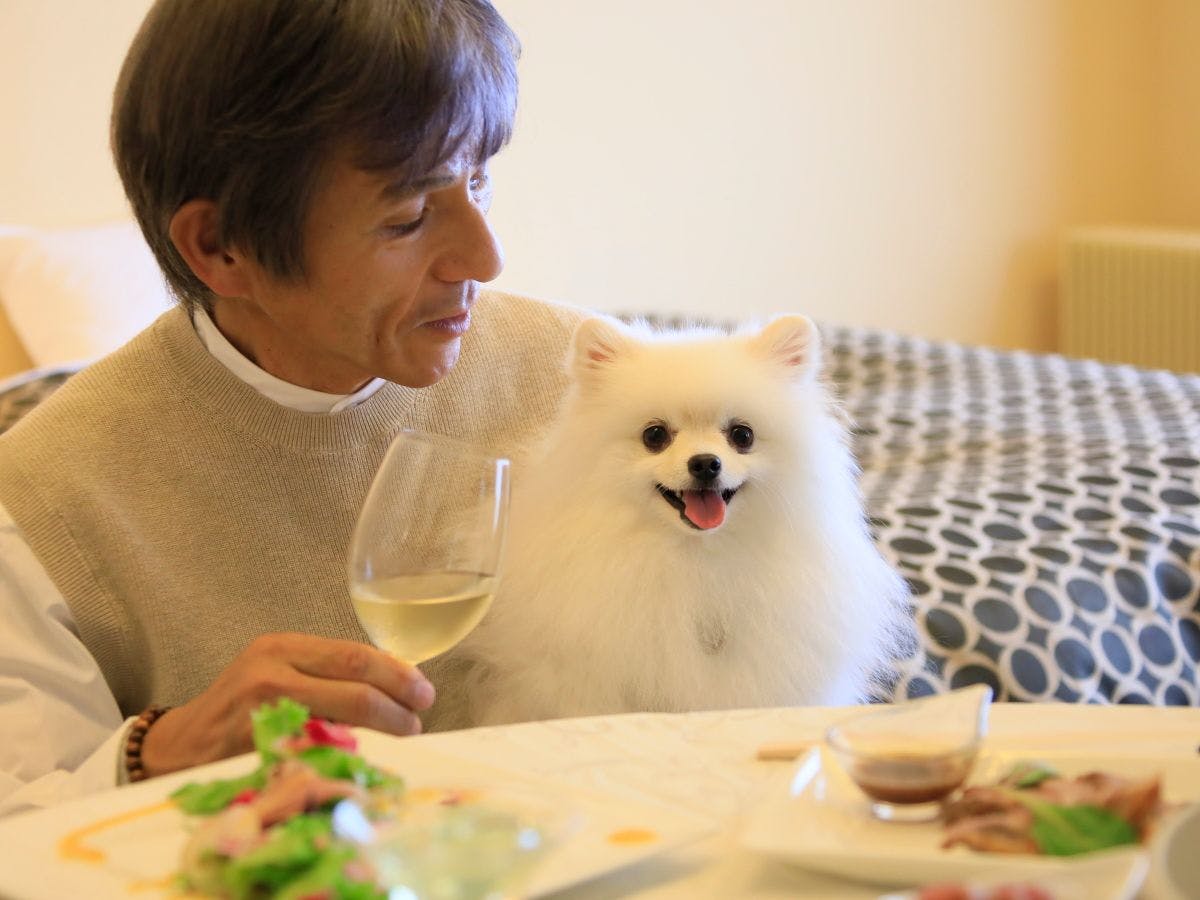 ゆとりろ蓼科ホテルwith DOGS