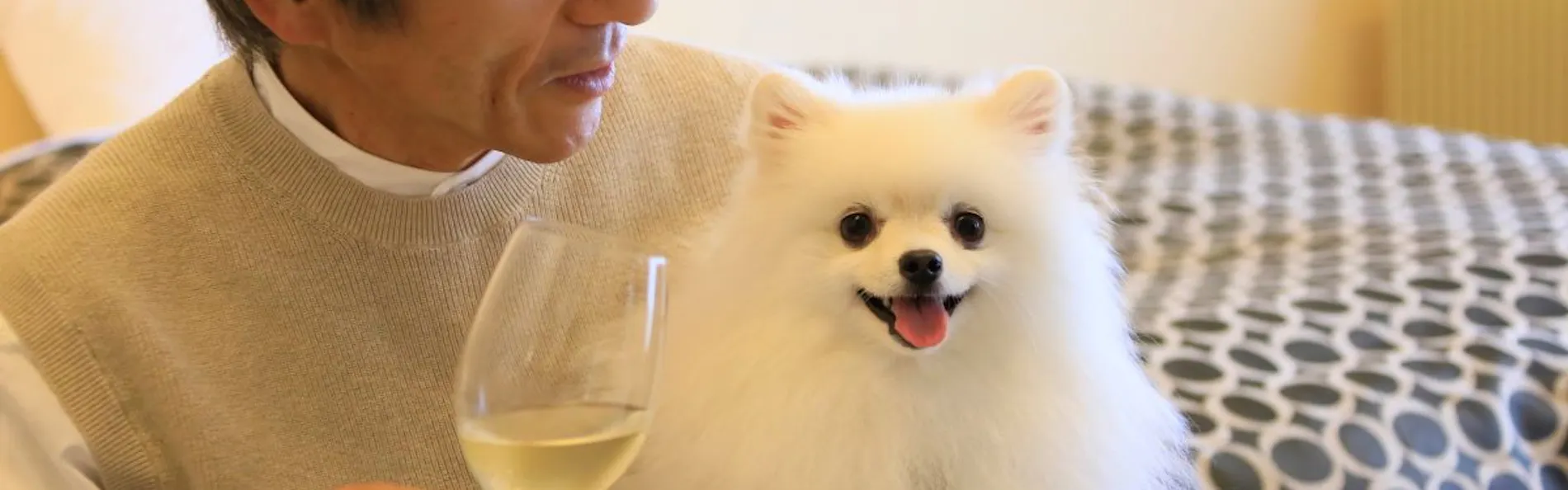 ゆとりろ蓼科ホテルwith DOGS