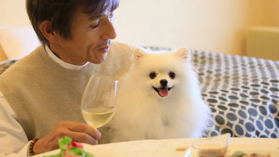 Yutorelo Tateshina Hotel with DOGS