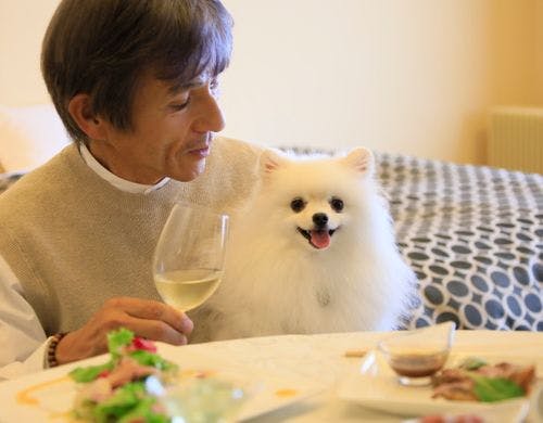 お部屋食