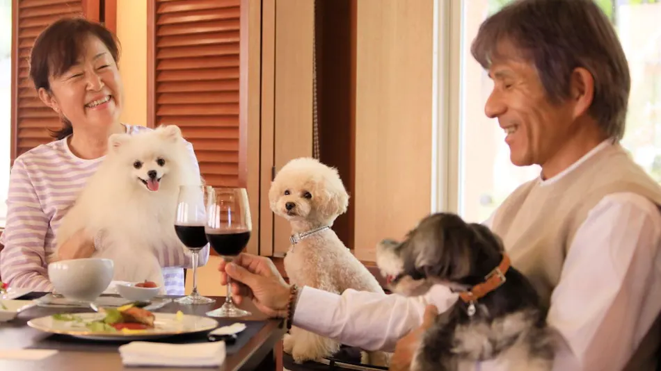 Yutorelo Tateshina Hotel with DOGS
