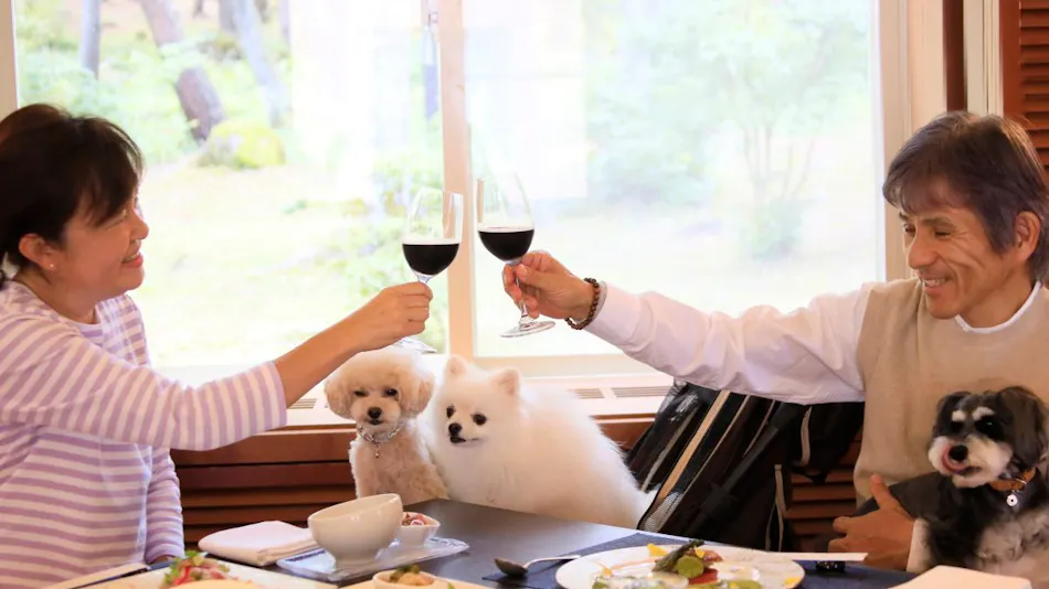 Yutorelo Tateshina Hotel with DOGS