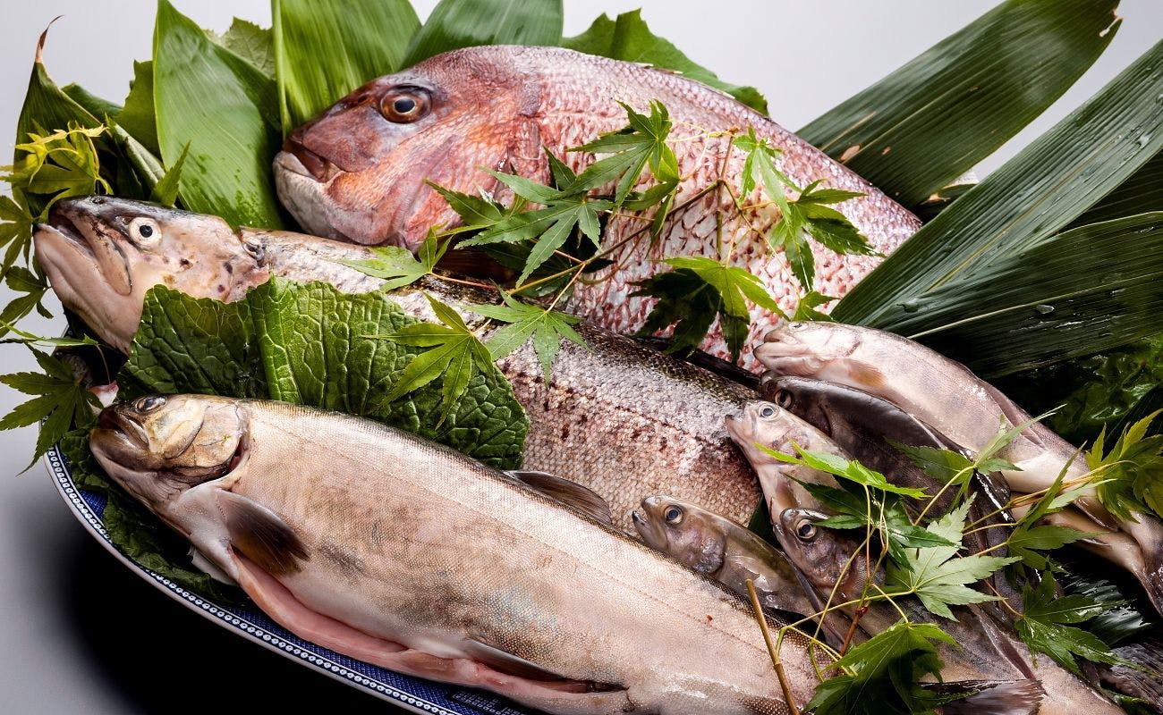 松川渓谷に佇む宿　信州山田温泉　山田館
