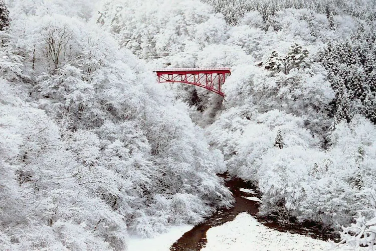 Gcvt7tkydwydpm Gcvt7tkydwydpm