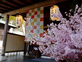 松川渓谷に佇む宿 信州山田温泉 山田館