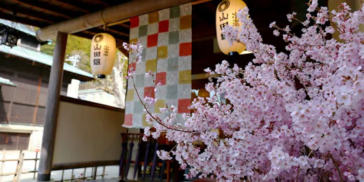 松川渓谷に佇む宿 信州山田温泉 山田館