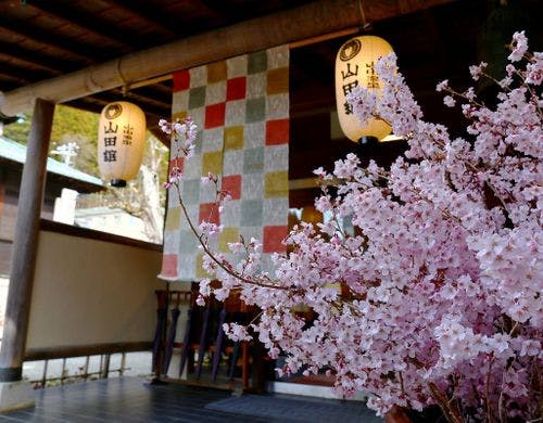 松川渓谷に佇む宿　信州山田温泉　山田館