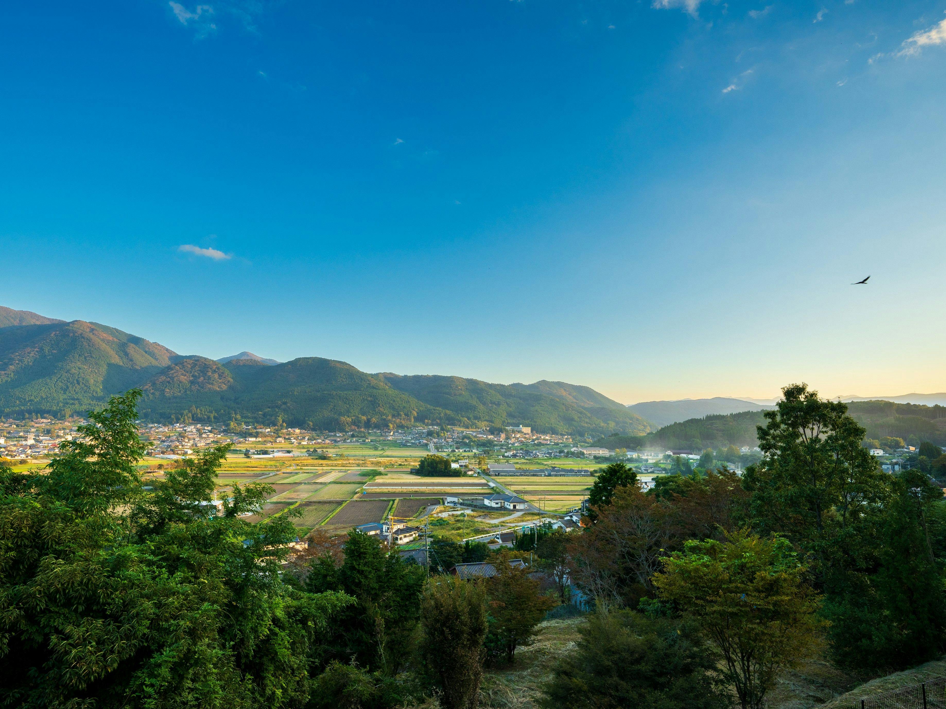 由布院ZEN