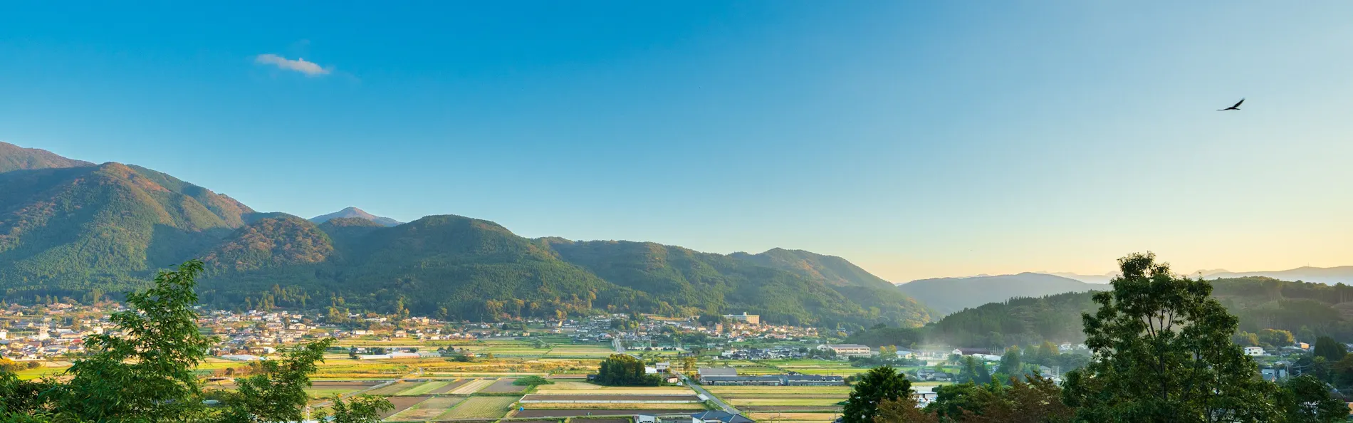 由布院ZEN