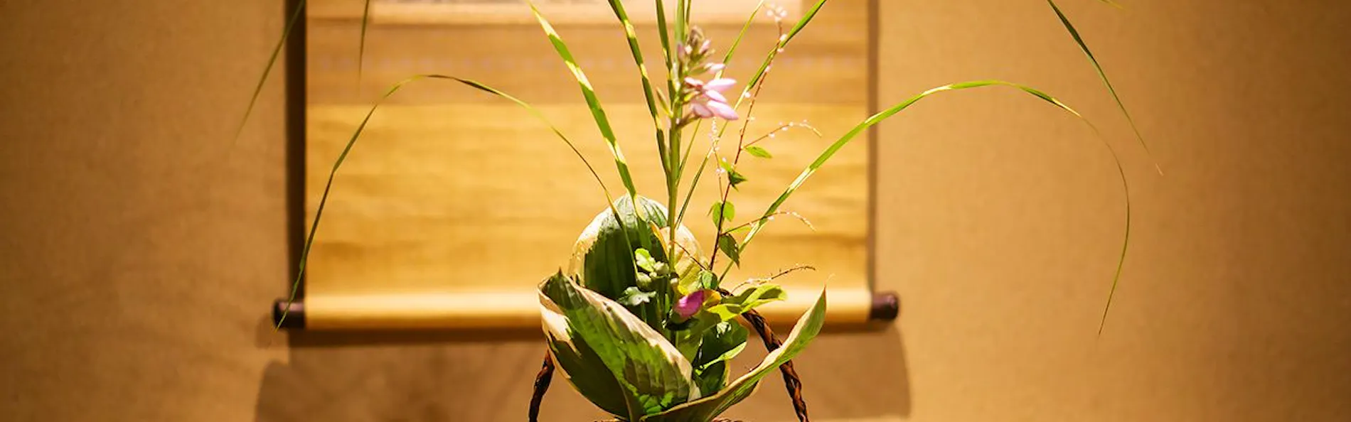 川魚・山菜料理 和田屋