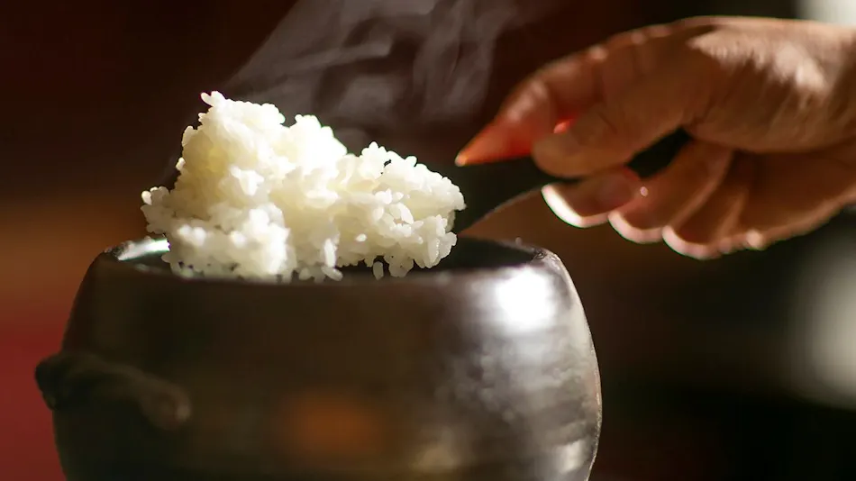 River Fish & Mountain Vegetable Cuisine Wada-ya