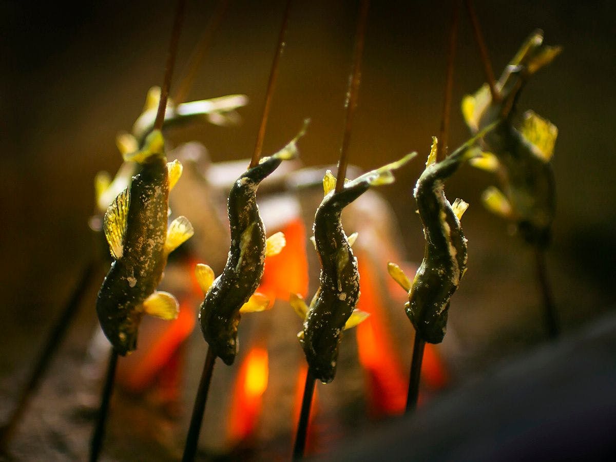川魚・山菜料理　和田屋