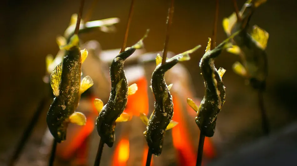 River Fish & Mountain Vegetable Cuisine Wada-ya