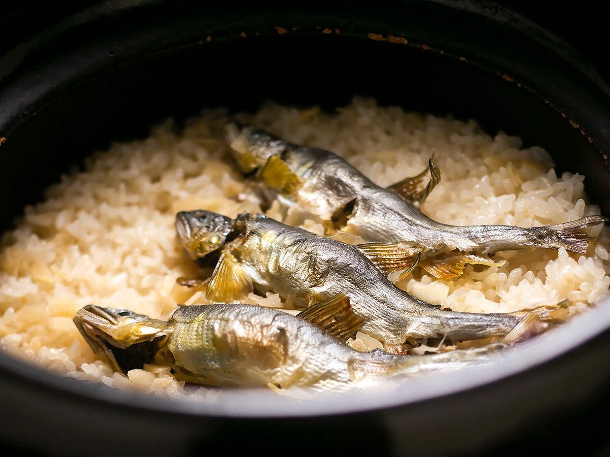 川魚・山菜料理　和田屋