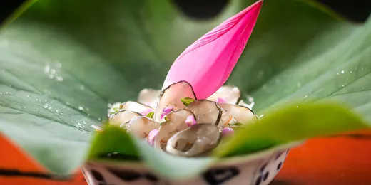 川魚・山菜料理 和田屋