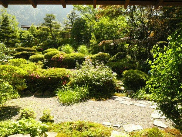 川魚・山菜料理　和田屋