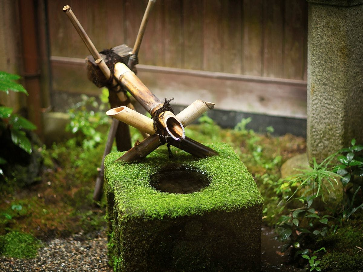 川魚・山菜料理　和田屋
