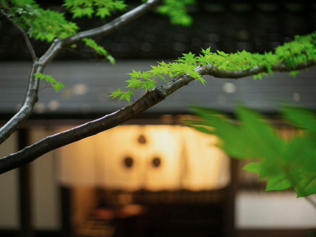 川魚・山菜料理　和田屋