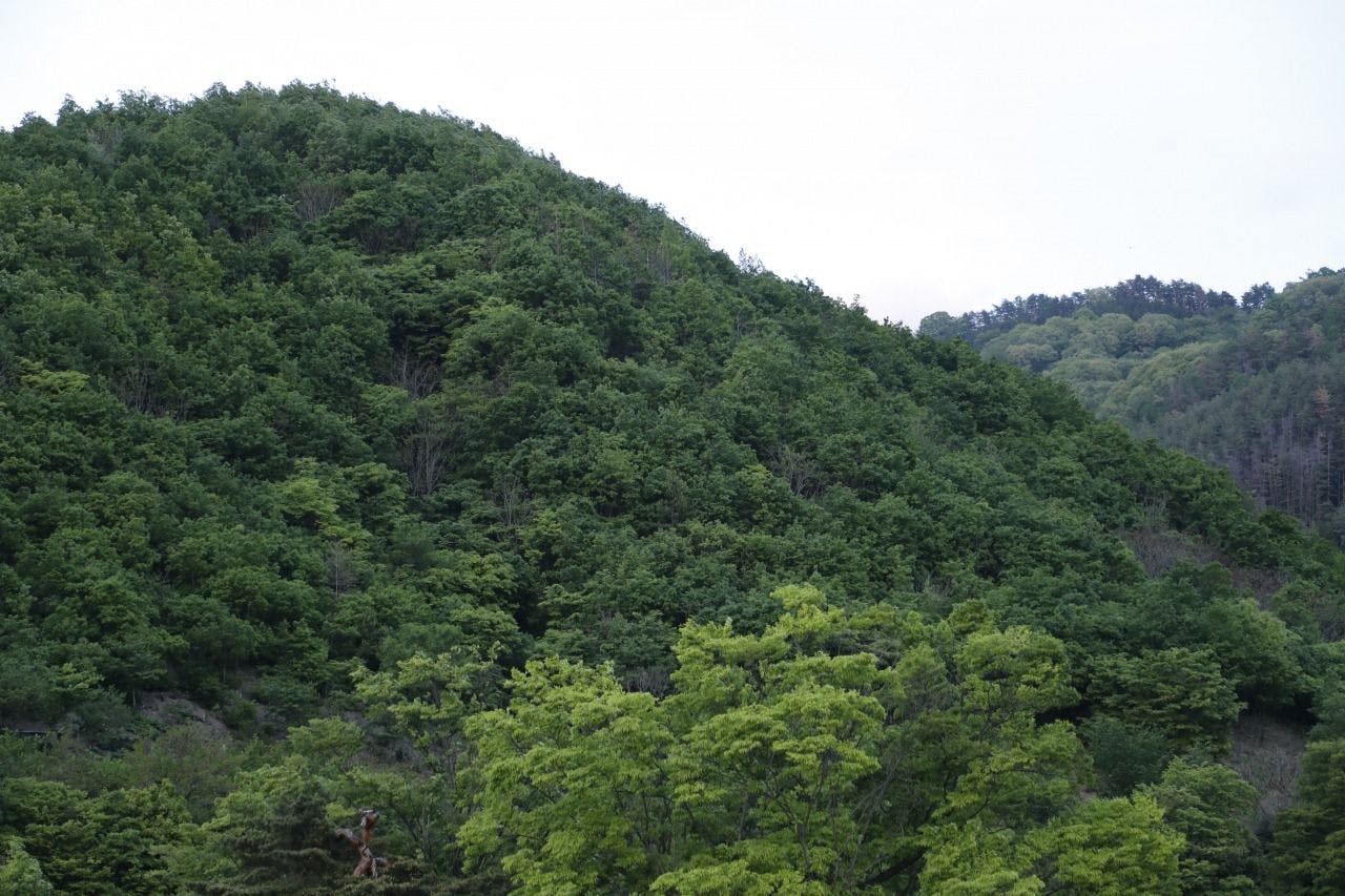 松本十帖