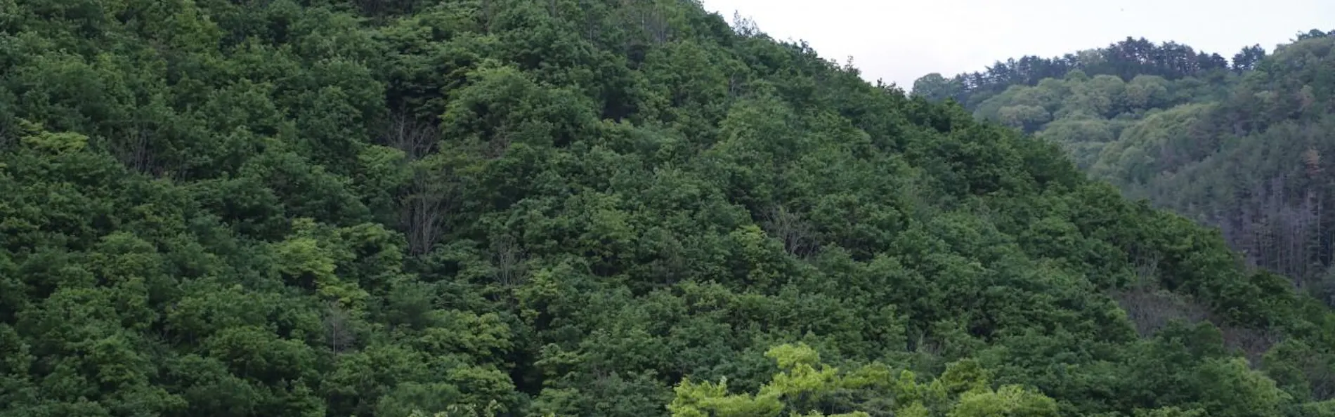 松本十帖