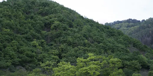 松本十帖