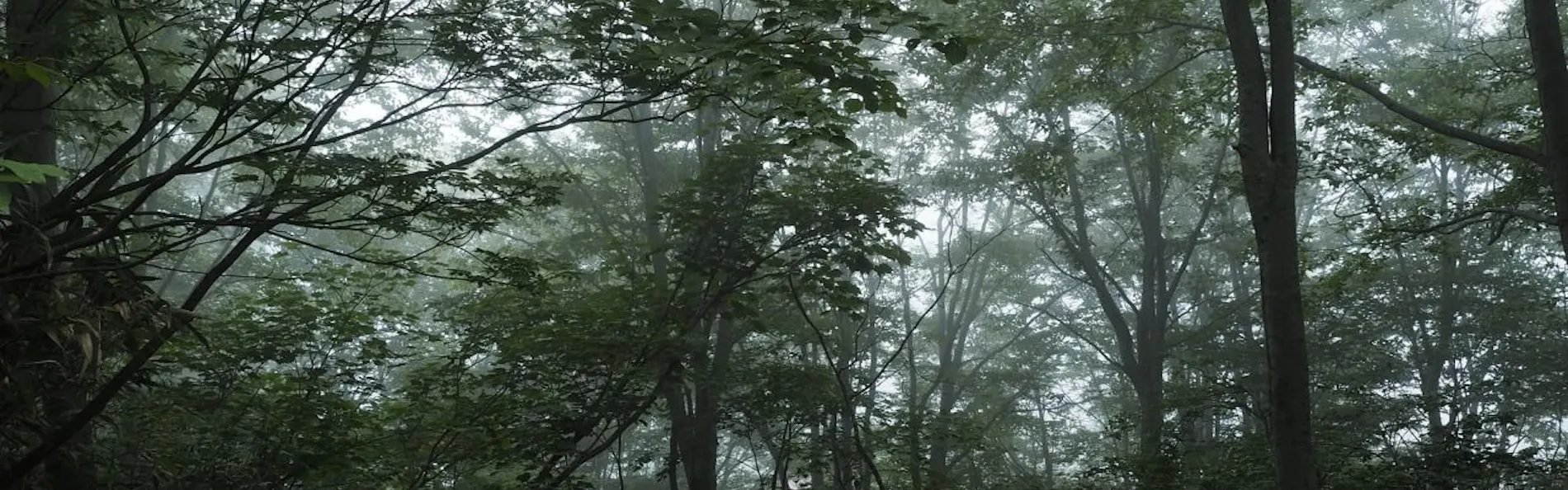 松本十帖
