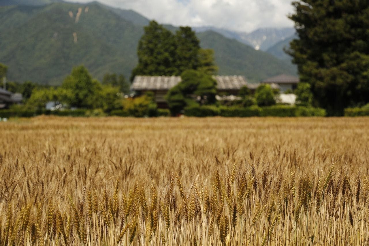 松本十帖