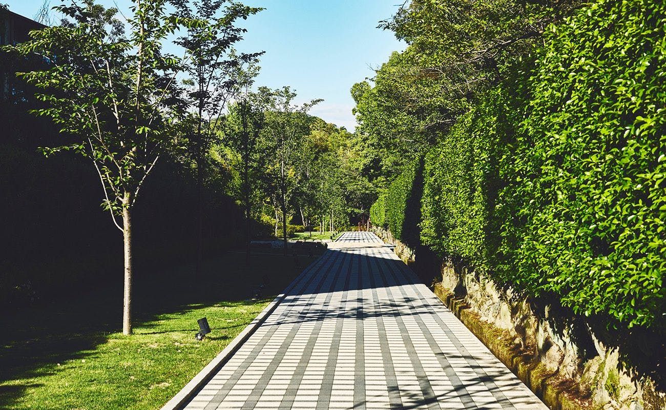 Laluan dalam kawasan