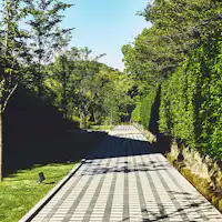 Laluan dalam kawasan