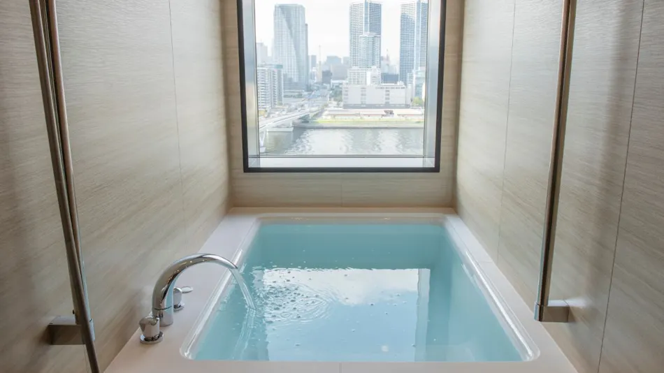 La Vista Tokyo Bay (Kyoritsu Resort)