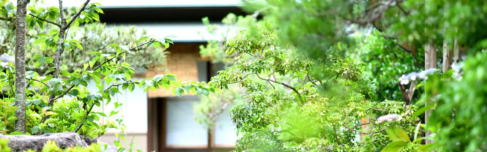 修善寺離れ宿 鬼の栖