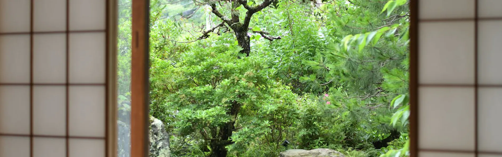 修善寺離れ宿 鬼の栖