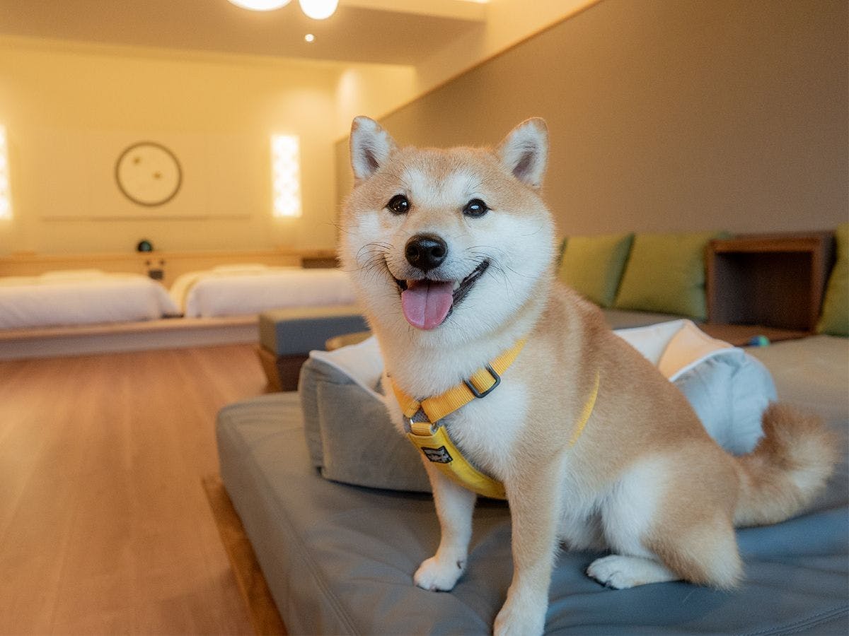 嬉野 八十八