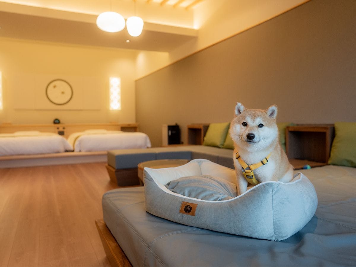 嬉野 八十八