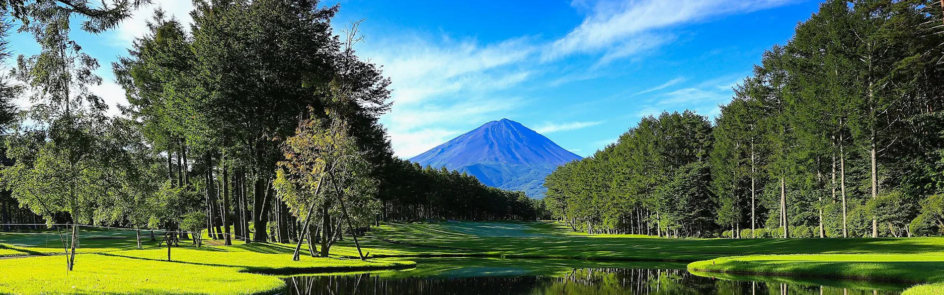 THE SENSE FUJI