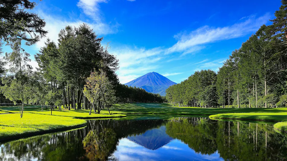 THE SENSE FUJI