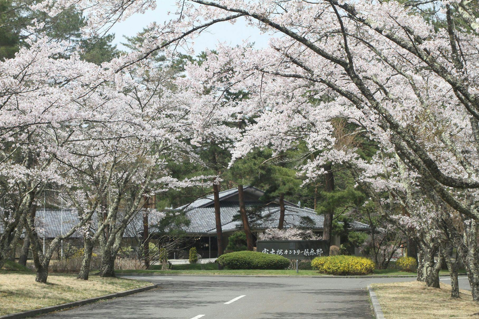 THE SENSE FUJI