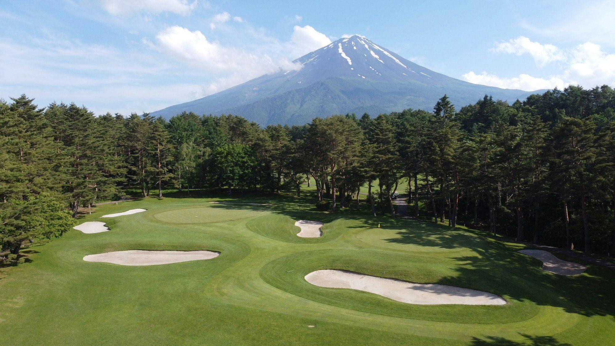 THE SENSE FUJI