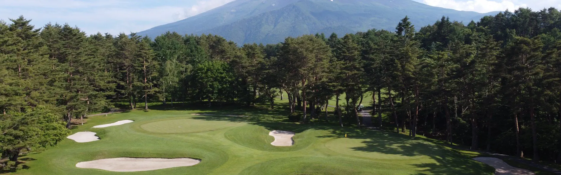 THE SENSE FUJI