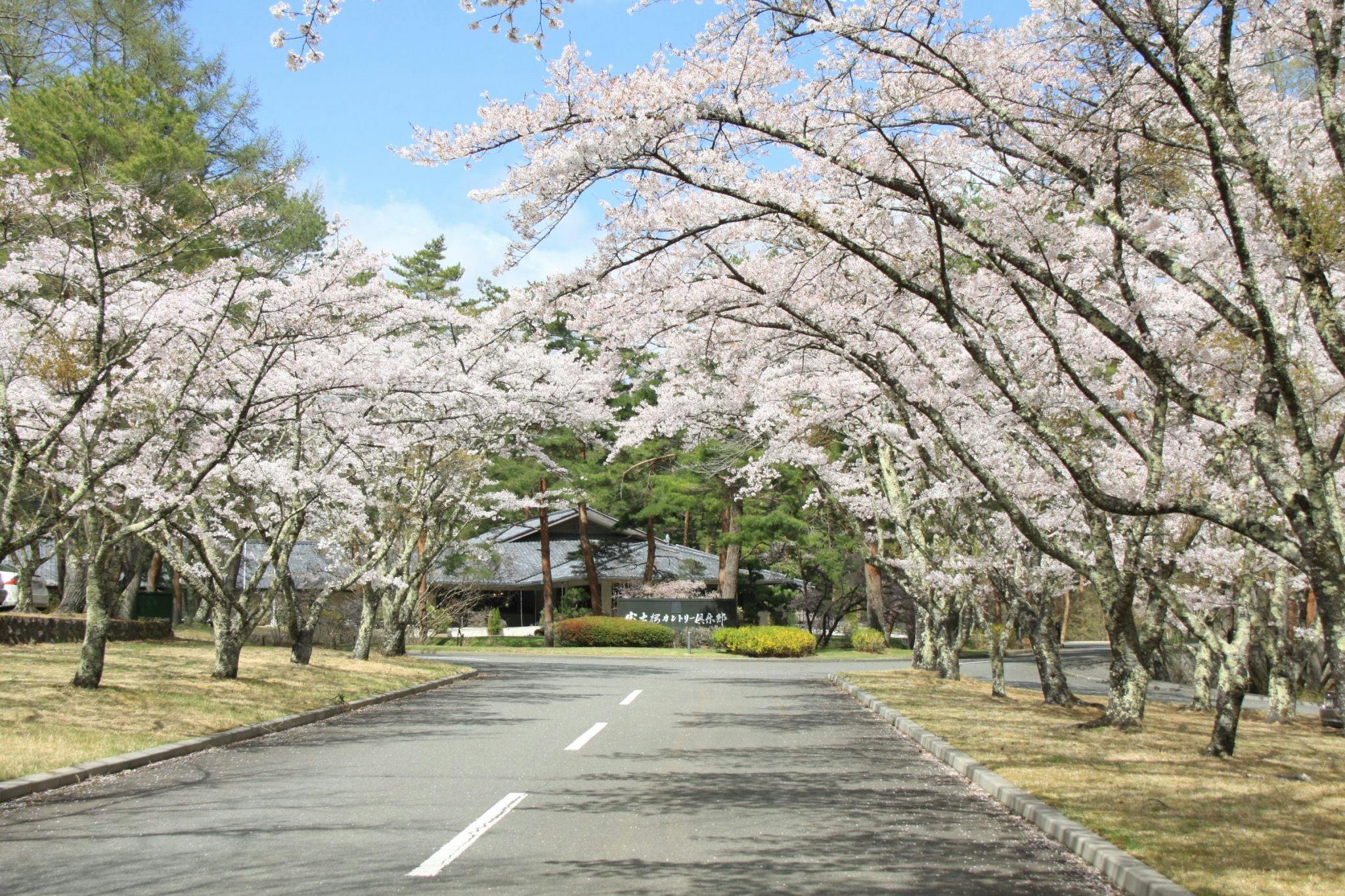 富士桜カントリー倶楽部ゴルフステイ【昼食無料特典】