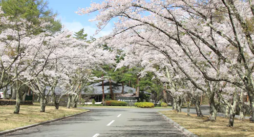 富士桜カントリー倶楽部ゴルフステイ【昼食無料特典】